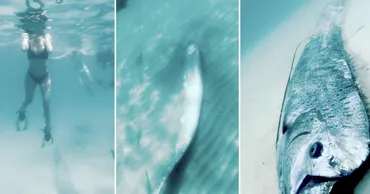 Молдавские дайверы столкнулись у берегов Мексики с рыбой Судного дня