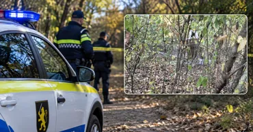 В лесу возле Жямэны обезвредили боевую часть упавшего беспилотника