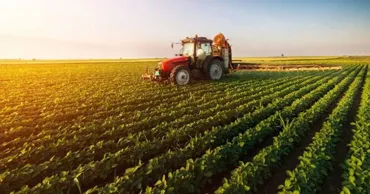 Agricultura moldovenească, în fața noii politici fiscale: Ce riscuri văd fermierii