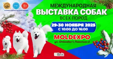 В Кишиневе состоится выставка собак Ⓟ
