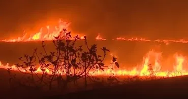 Schimbarea climei a crescut de 20 de ori probabilitatea mega incendiilor în Spania
