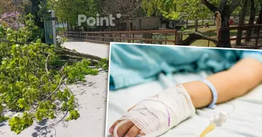 Ребенка, на которого в зоопарке упало дерево, перевели в нейрохирургическое отделение
