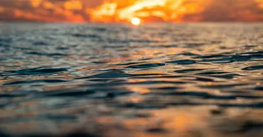 Temperaturile oceanelor ating niveluri alarmante. Avertismentul oamenilor de știință