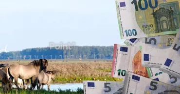 В Молдове на проекты по исследованию биоразнообразия выделят €100 тысяч