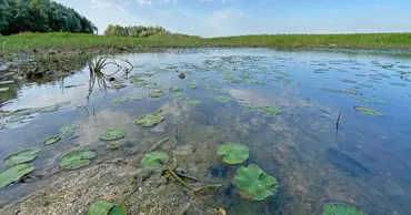 Во Флорештском районе нарушители водного законодательства оштрафованы на 52 тыс. леев