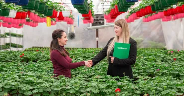 Microinvest: Как развивать бизнес по продаже цветов в Молдове Ⓟ