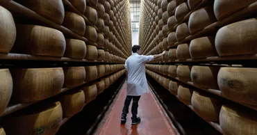 Итальянские производители пармезана опасаются за будущее сыра из-за летней жары