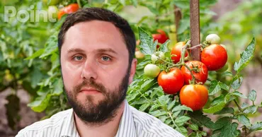 Депутат PAS: Миф, что молдавские помидоры самые вкусные, разницы с Европой почти нет