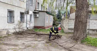 Последствия шквалистого ветра: сотрудники ГИЧС работают в усиленном режиме