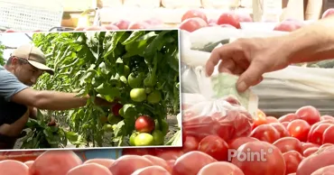 На рынках всё меньше молдавских помидоров, импорт вытесняет местную продукцию