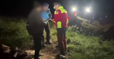 Un cioban a fost atacat de urs în timp ce încerca să-și salveze oile