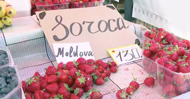 В Молдове местная клубника стоит 130 леев за килограмм, а импортная - 80 леев
