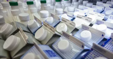 Moldova relaxează controalele asupra importurilor de lapte din Ucraina