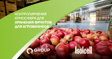 QGroup: Как продавать урожай круглый год: технология Isolcell для хранения фруктов Ⓟ