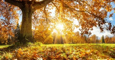 Vreme frumoasă în toată țara: Temperaturile vor urca până la +26°C