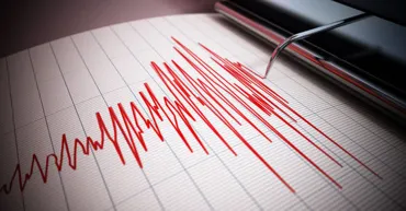 Cutremur de peste 4 grade Richter, produs în Vrancea duminică dimineață