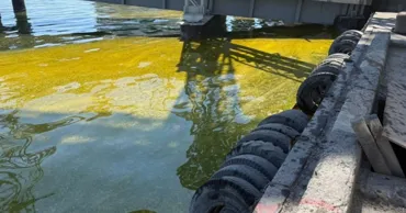 В Чёрное море вылилось шесть тысяч тонн подсолнечного масла после удара по порту