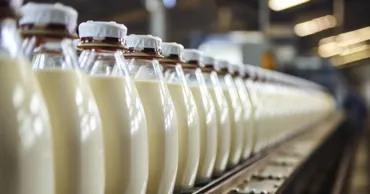Молдова стала крупнейшим покупателем украинской молочной продукции