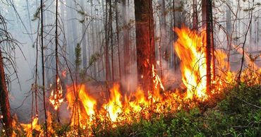 Риск возникновения пожаров в Молдове сохранится до 14 августа.