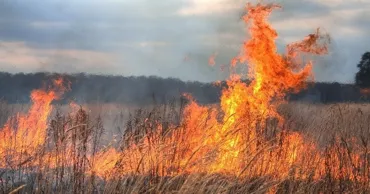 В Слободзее выгорело 40 гектаров сухой травы и камыша: огонь тушили шесть часов