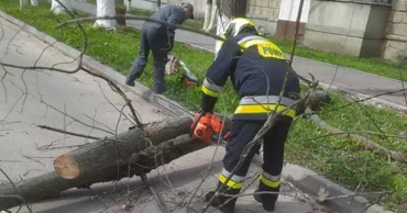 В Молдове из-за сильного ветра спасатели зафиксировали 58 вызовов