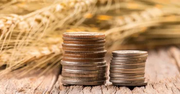 Цены на сельхозпродукцию показали рекордный рост с 2012 года