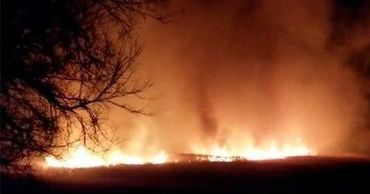 Сильный пожар разгорелся у леса в Новых Аненах.