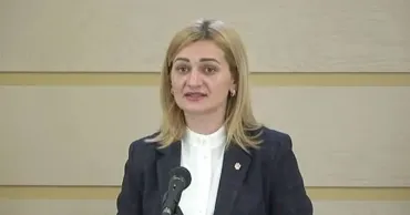 Герман - оппозиции: Все ваши аргументы, как говорят в Бельцах, - "детский сад"