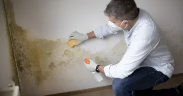 Cum previi mucegaiul din casă în sezonul rece și unde apare cel mai des