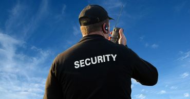 Госучреждения больше не будут охраняться частными охранными компаниями.