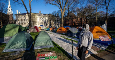 Harvard promite să se corecteze după două rapoarte de mare rezonanță