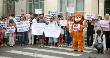 Зоозащитники провели протест в Кишиневе: Хаждер ответил на их требования