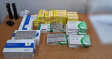 Таможенники выявили незадекларированные товары и более 750 психотропных таблеток