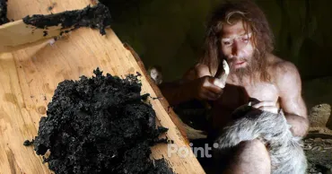 Антибиотики впервые использовали задолго до появления людей