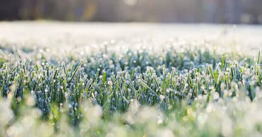Ministerul Agriculturii a emis recomandări pentru fermieri în legătură cu înghețurile așteptate