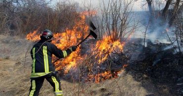 В Кагуле произошел крупный пожар: горела сухая растительность.