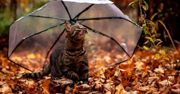 Weekend cu până la +28°C, ploi și vânt puternic: Cum va fi vremea în următoarele zile