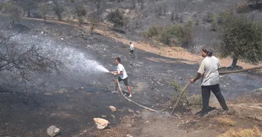 Un bărbat din Turcia a provocat un incendiu de pădure: A încercat să ardă o căpușă
