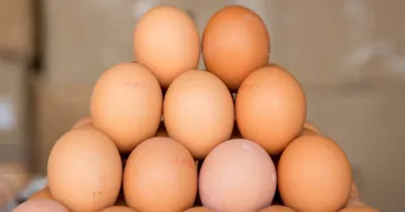 Ouăle din comerț vor fi clasificate după calitate și greutate
