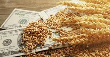 Prețurile alimentelor au rămas stabile în mai, dar cerealele și zahărul s-au scumpit