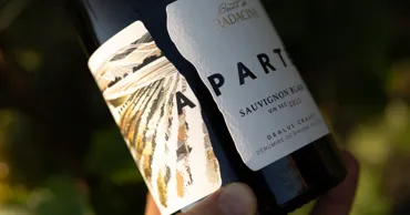 Radacini Wines — первая в РМ винодельня с защищённым наименованием происхождением Ⓟ
