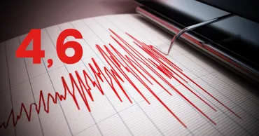 Un cutremur cu magnitudinea 4,6 s-a produs în România