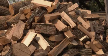 Cererea pentru lemne de foc crește: Cât costă un palet la Chișinău