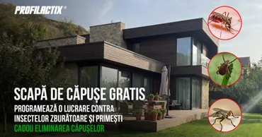 Profilactix: Obține cadou eliminarea căpușelor din curte Ⓟ