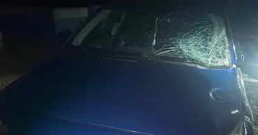 Un taximetrist, reținut după accidentul mortal de pe R3. A spus că a lovit un câine