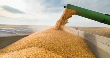 Exporturile de cereale ale Ucrainei, afectate de atacurile din Marea Neagră
