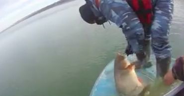 В общей сложности было собрано 10 сетей, которые за несколько дней до этого были установлены неизвестными людьми.