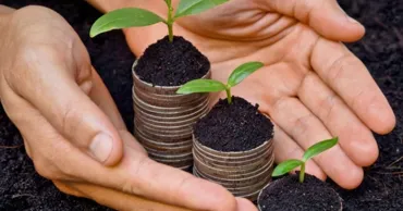 Agricultura primește injecția financiară: AIPA a autorizat peste 82 milioane de lei