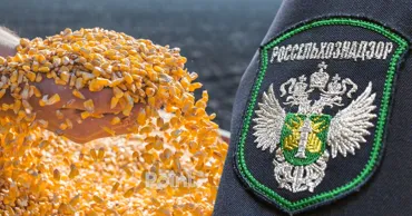 Россия прекратила ввоз семян и посадочного материала из Молдовы