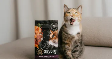 Savory и Pet House приглашают кишинёвцев на яркие уикенды с подарками Ⓟ